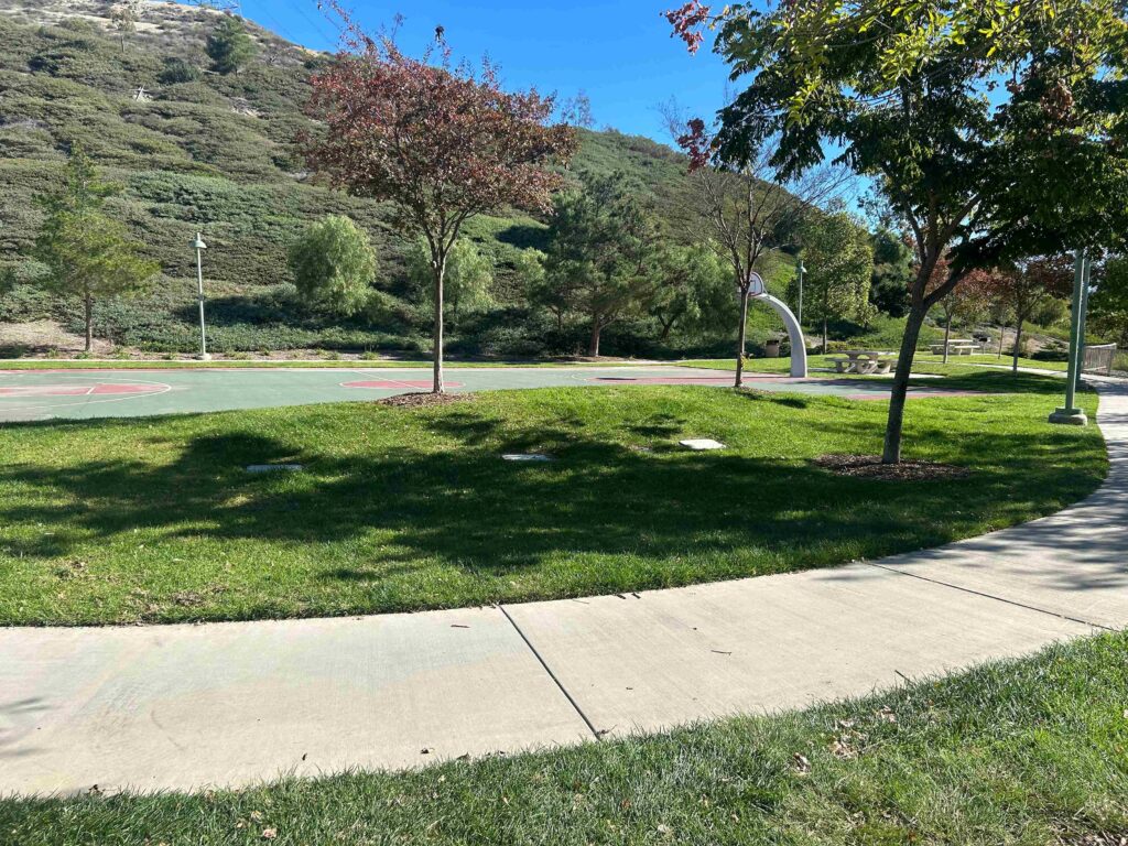 IMG 2912 11zon 1024x768