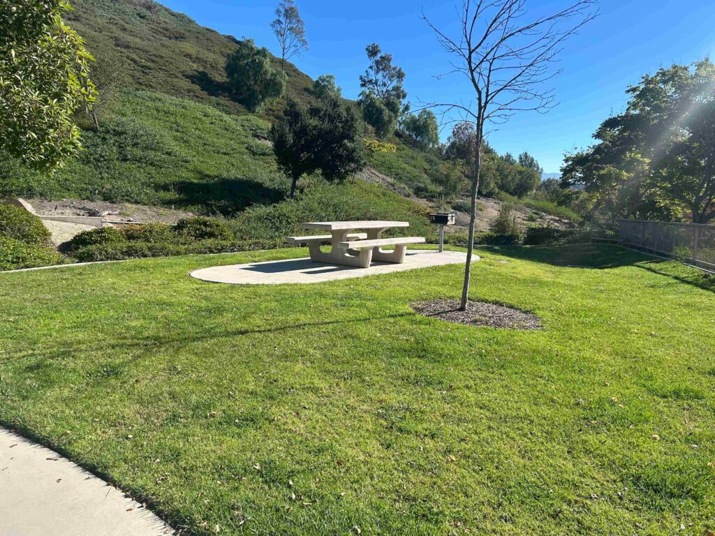 IMG 2915 11zon 1024x768