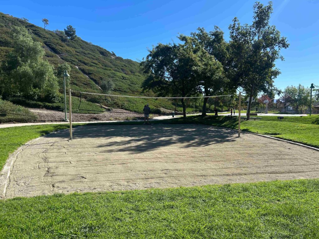 IMG 2920 11zon 1024x768