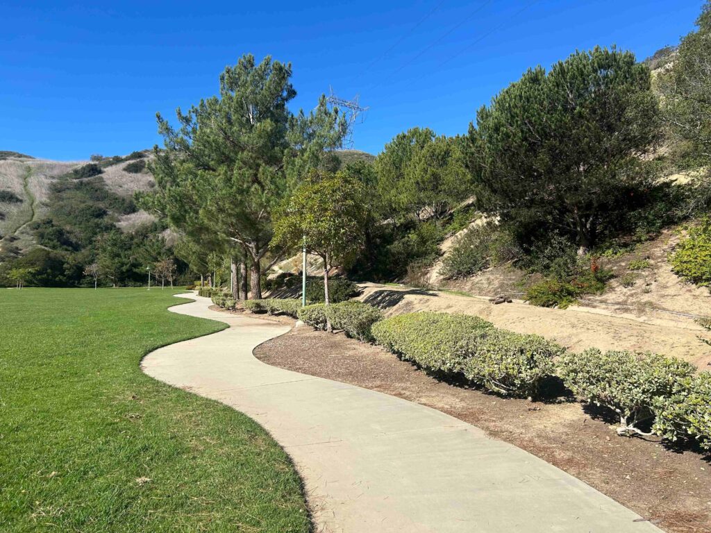 IMG 2923 11zon 1024x768