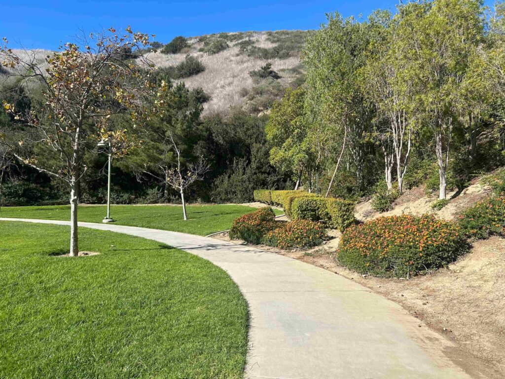 IMG 2926 11zon 1024x768