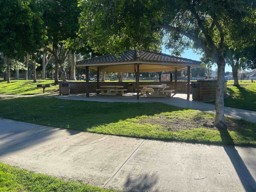 IMG 2971 11zon 1024x768