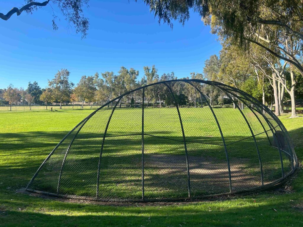 IMG 2977 11zon 1024x768