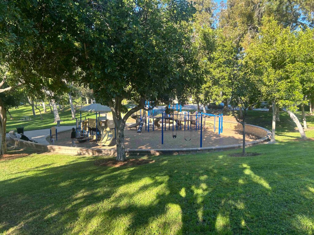 IMG 2983 11zon 1024x768