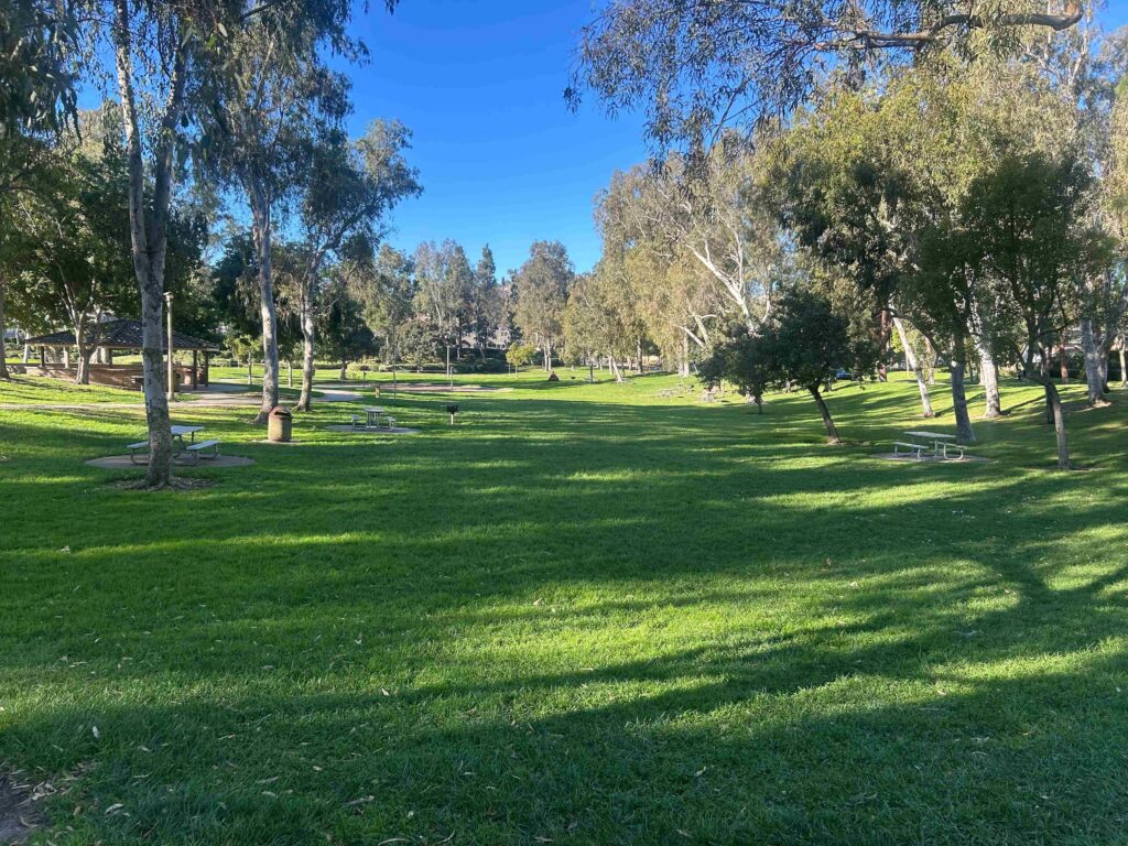 IMG 2984 11zon 1024x768