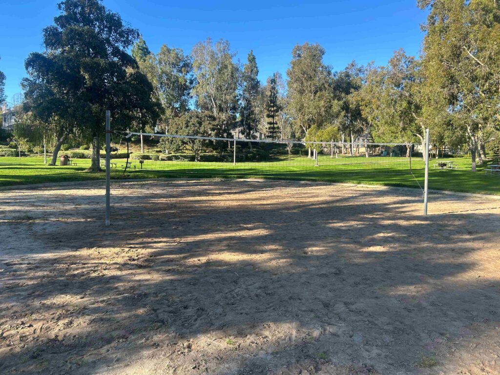 IMG 2987 11zon 1024x768