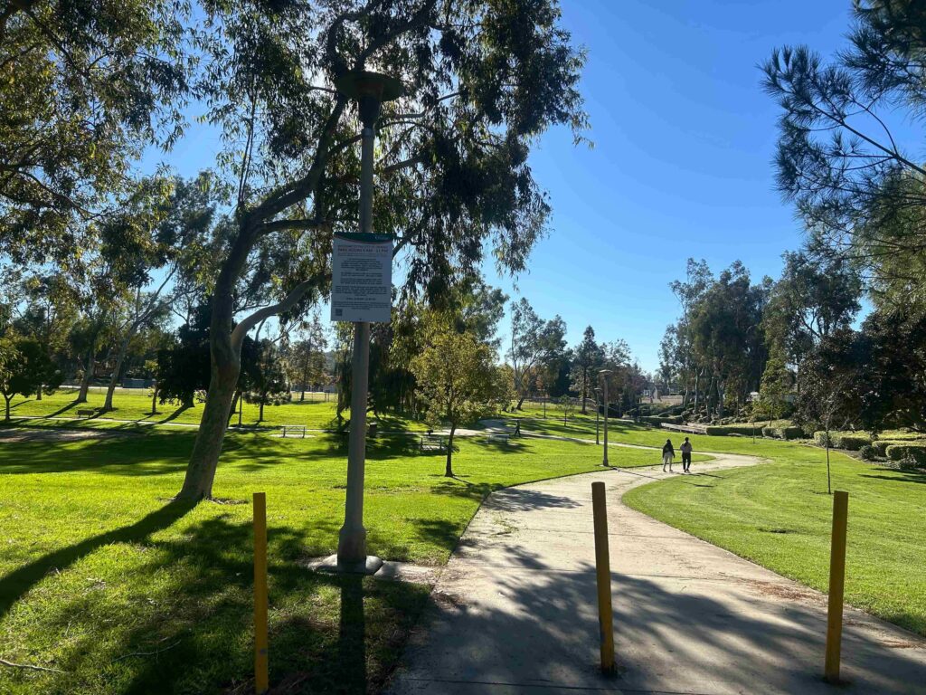 IMG 2990 11zon 1024x768