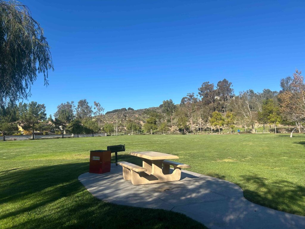 IMG 3002 11zon 1024x768