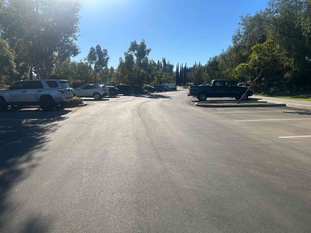 IMG 3008 11zon 1024x768