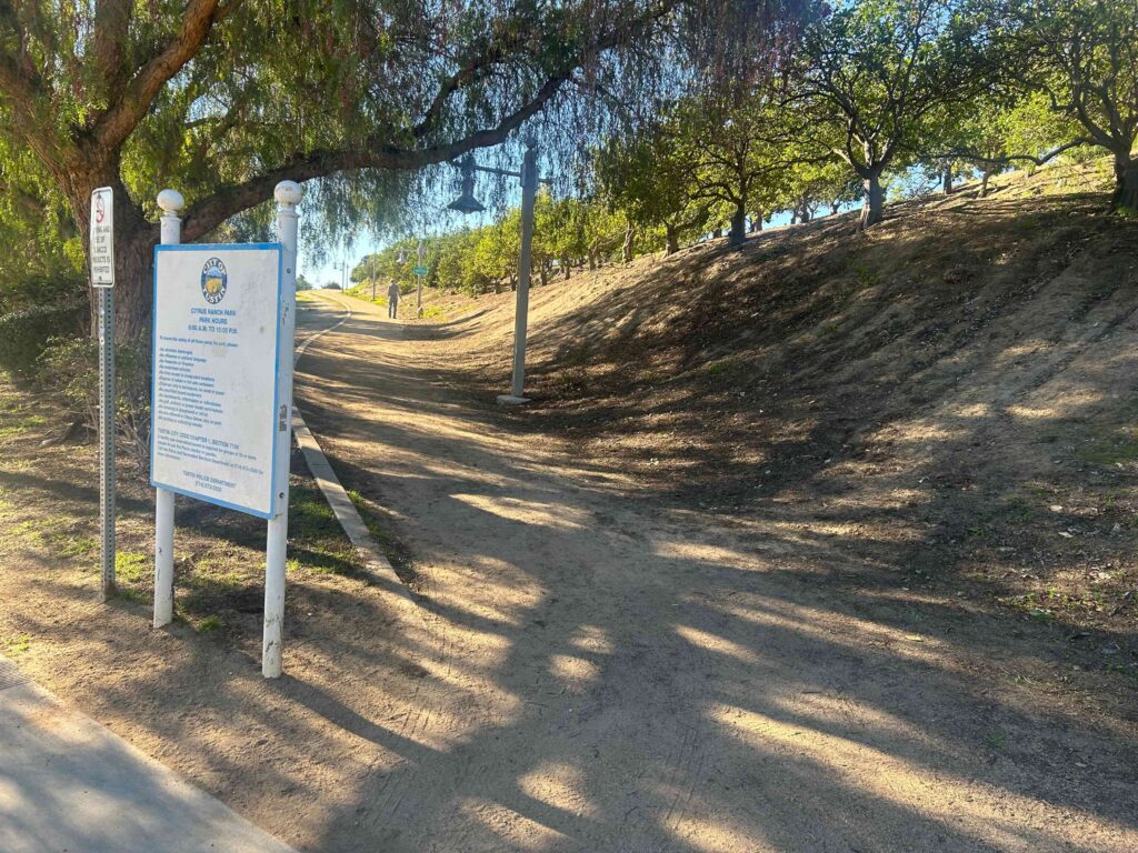 IMG 3011 11zon 1024x768