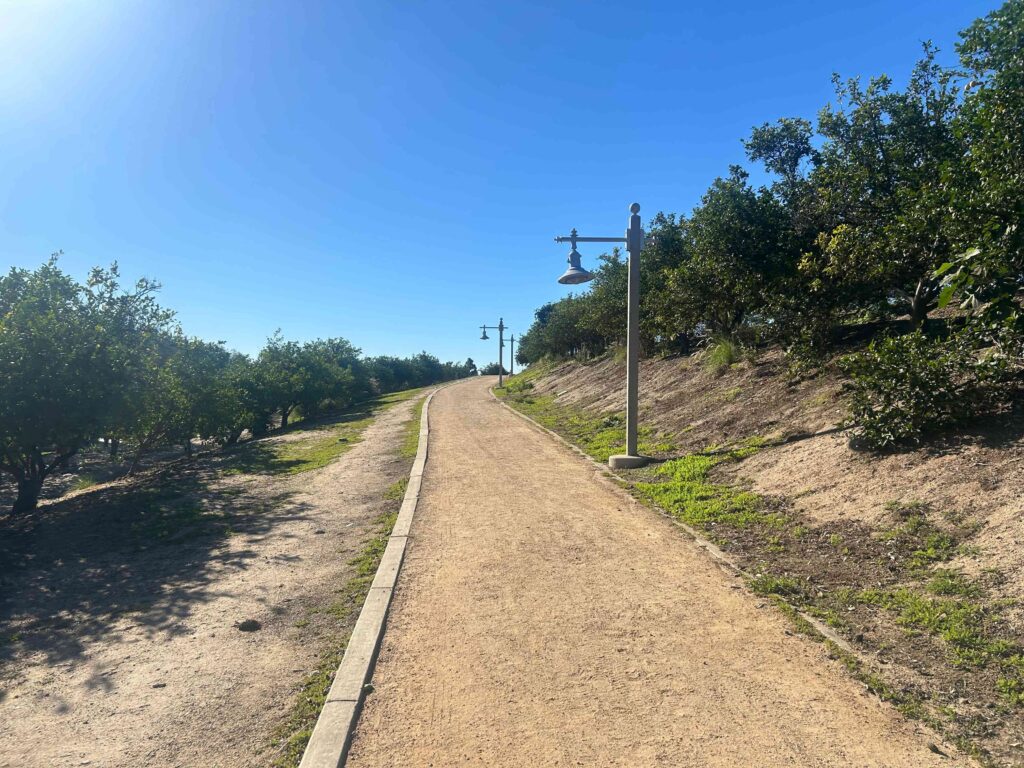 IMG 3013 11zon 1024x768