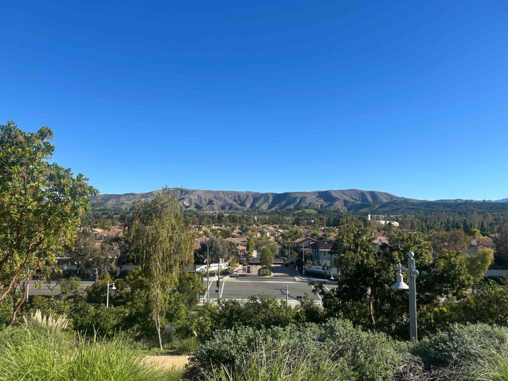 IMG 3028 11zon 1024x768