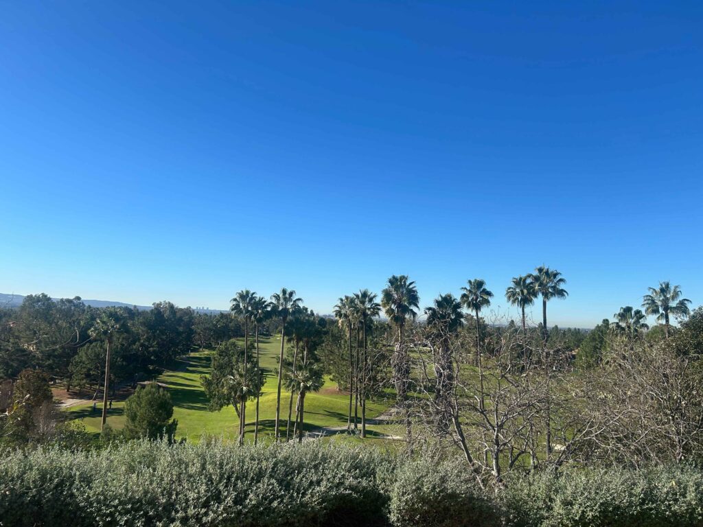 IMG 3029 11zon 1024x768