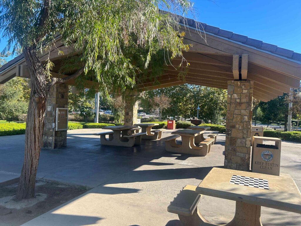 IMG 3043 1 11zon 1024x768