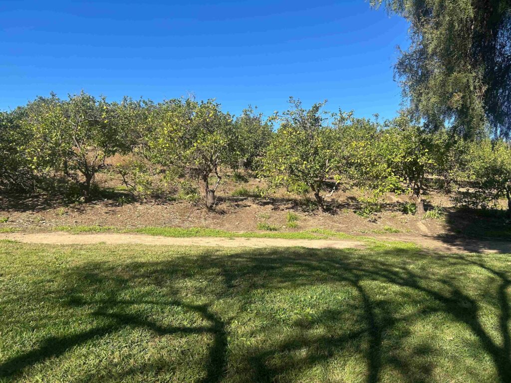 IMG 3056 1 11zon 1024x768