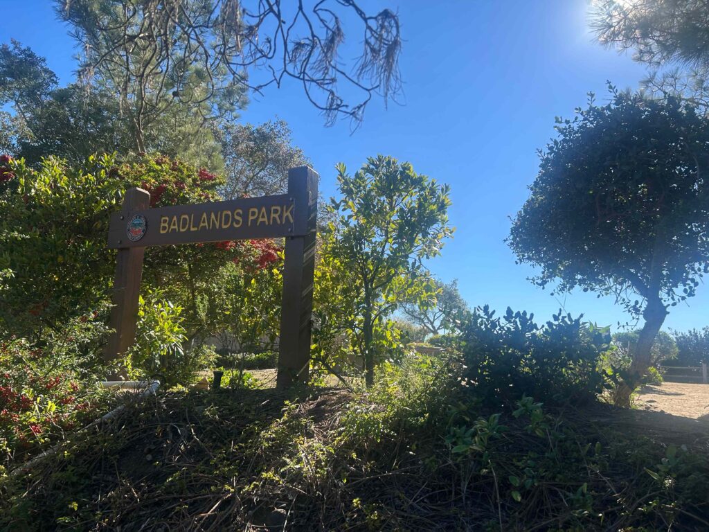 IMG 3069 11zon 1024x768