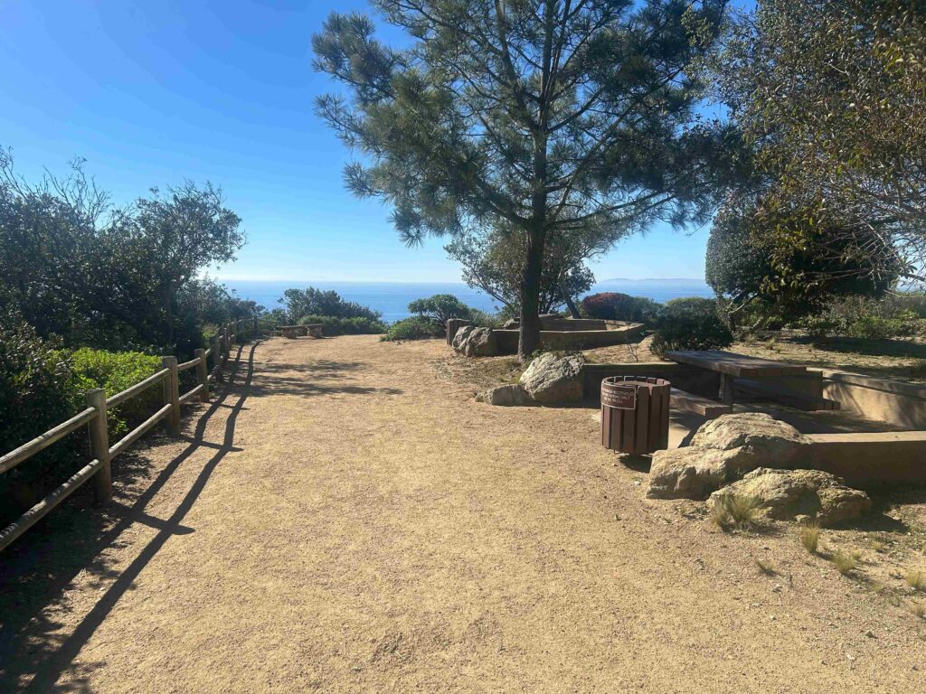 IMG 3071 11zon 1024x768