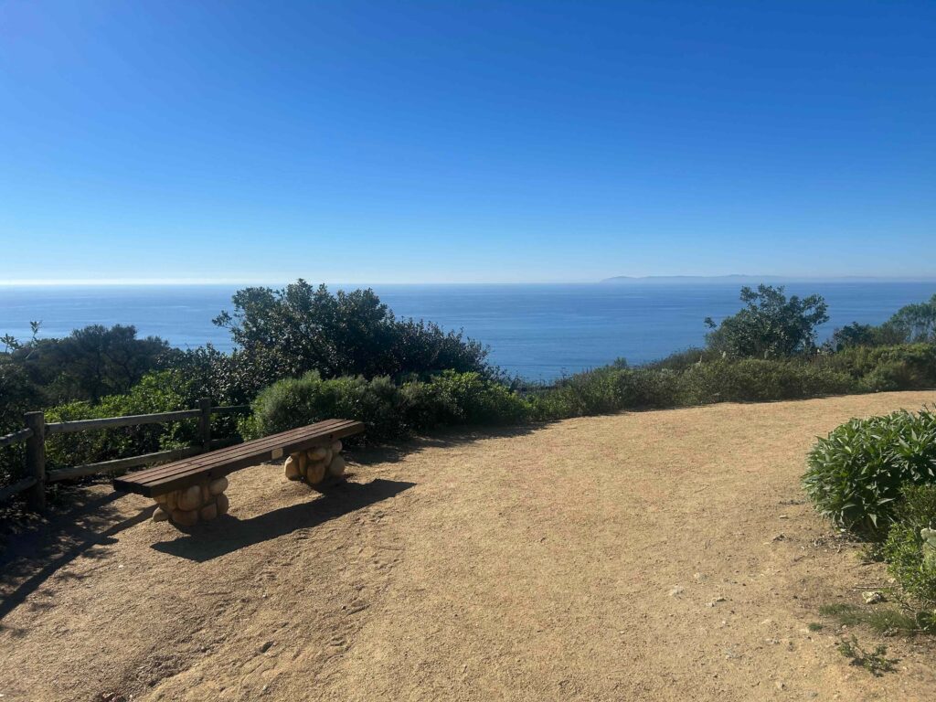 IMG 3073 11zon 1024x768