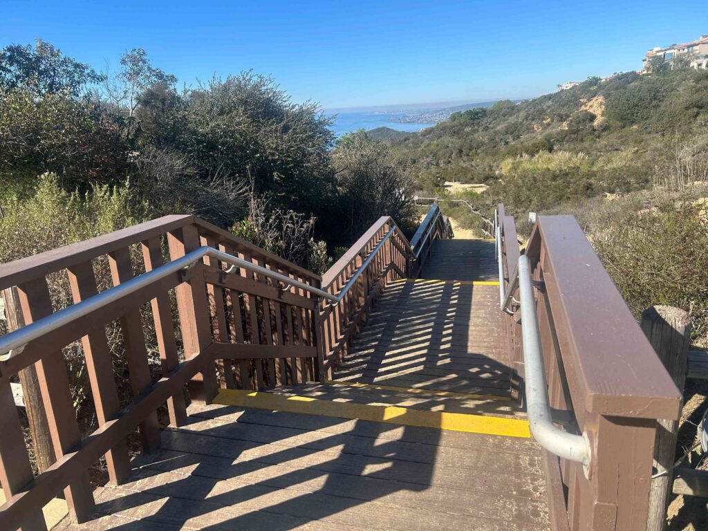 IMG 3085 11zon 1024x768