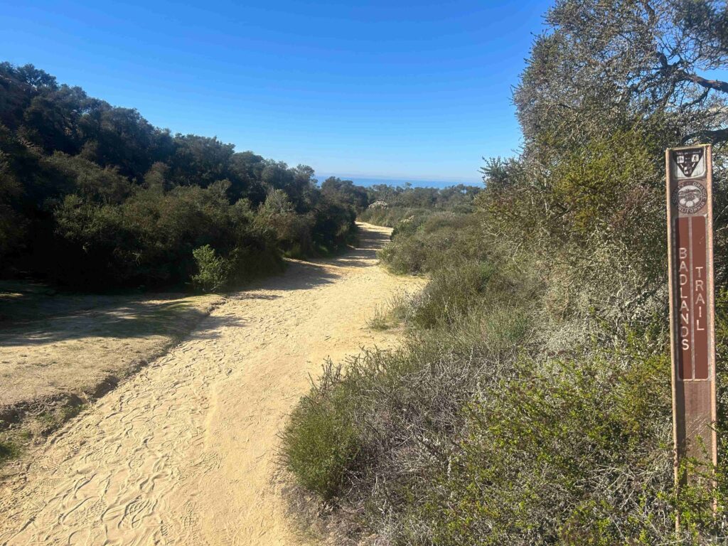 IMG 3087 11zon 1024x768