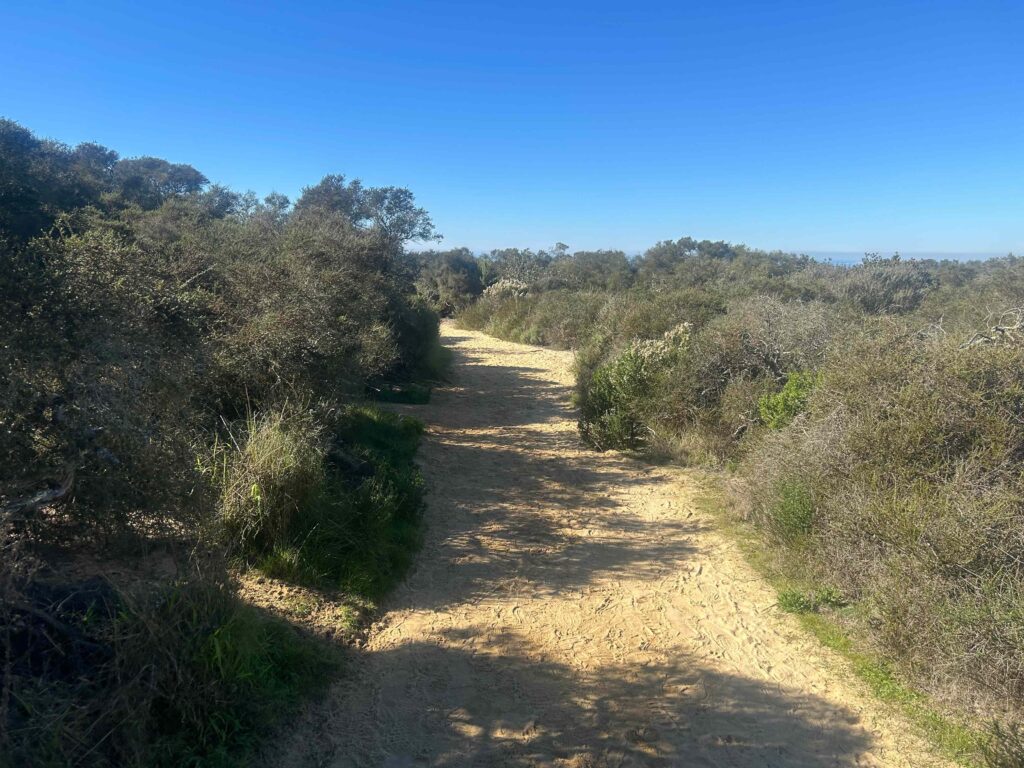 IMG 3088 11zon 1024x768