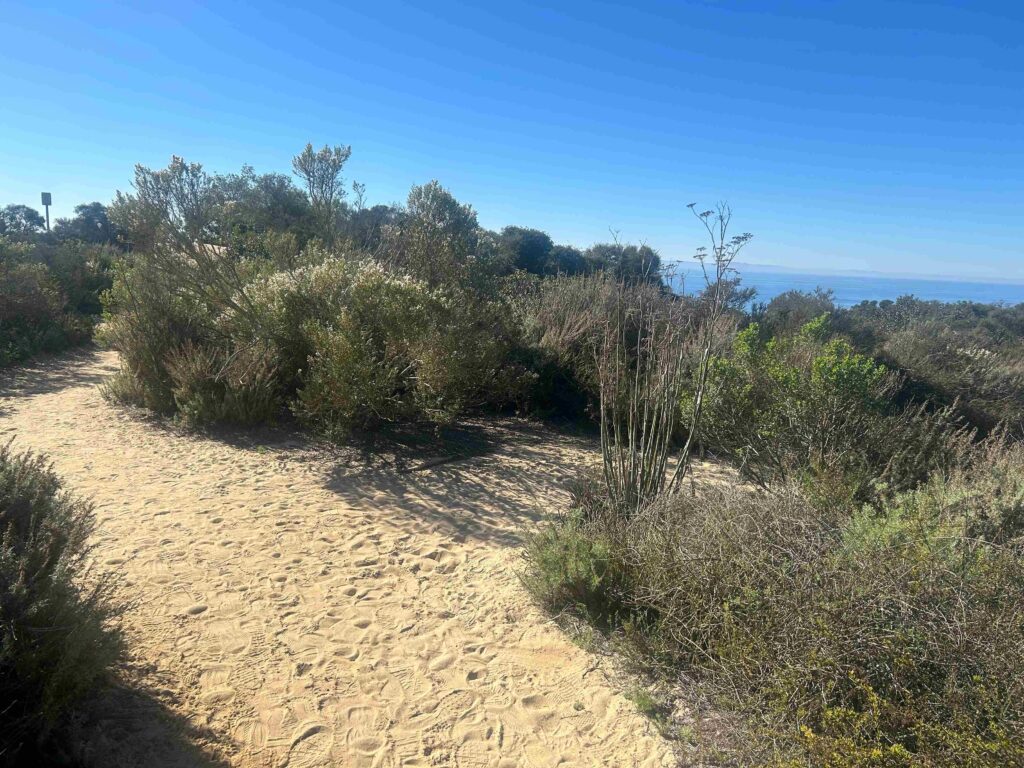 IMG 3090 11zon 1024x768