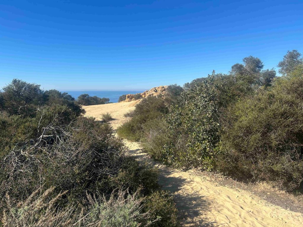 IMG 3091 11zon 1024x768