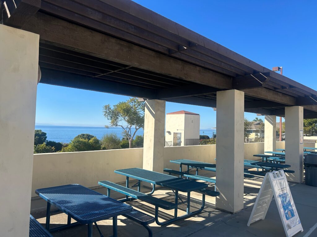 IMG 3119 11zon 1024x768