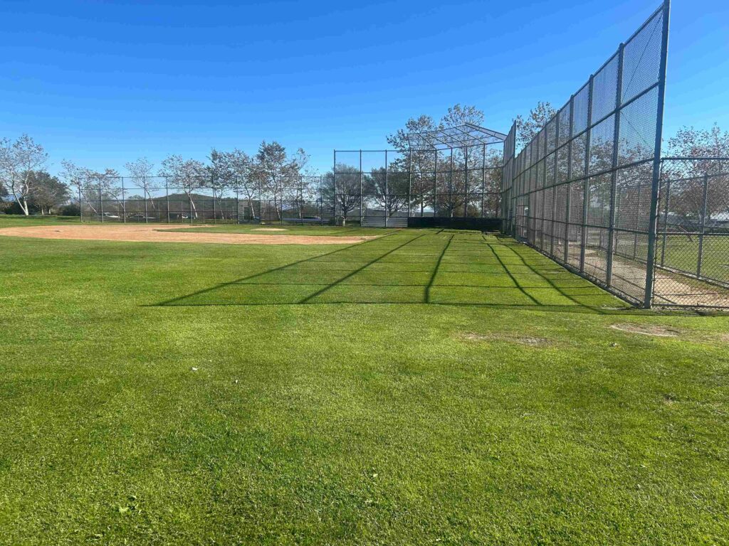 IMG 3140 11zon 1024x768