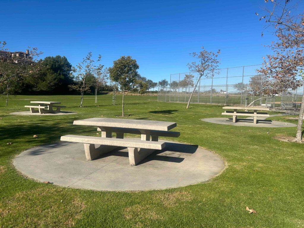 IMG 3146 11zon 1024x768