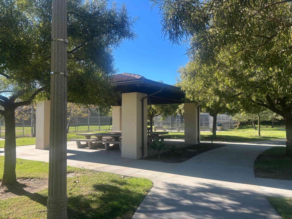 IMG 3151 11zon 1024x768