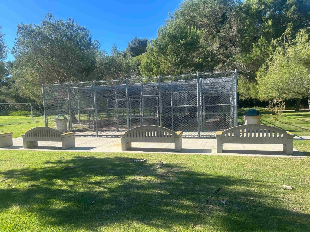 IMG 3154 11zon 1024x768