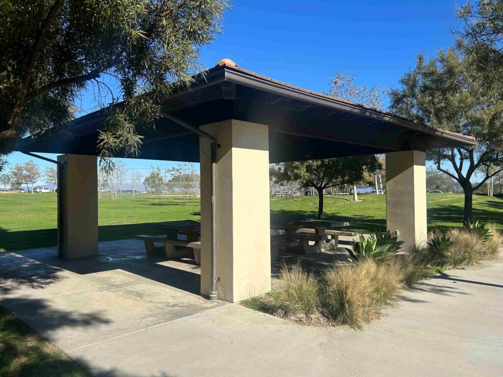 IMG 3160 11zon 1024x768