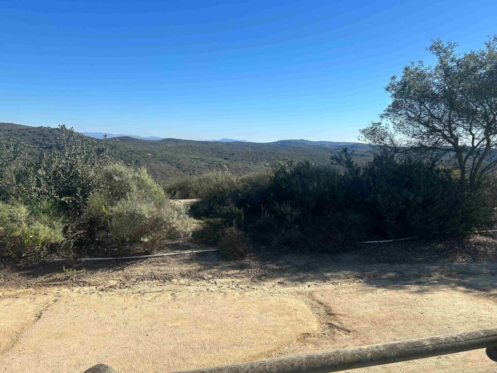 IMG 3165 11zon 1024x768