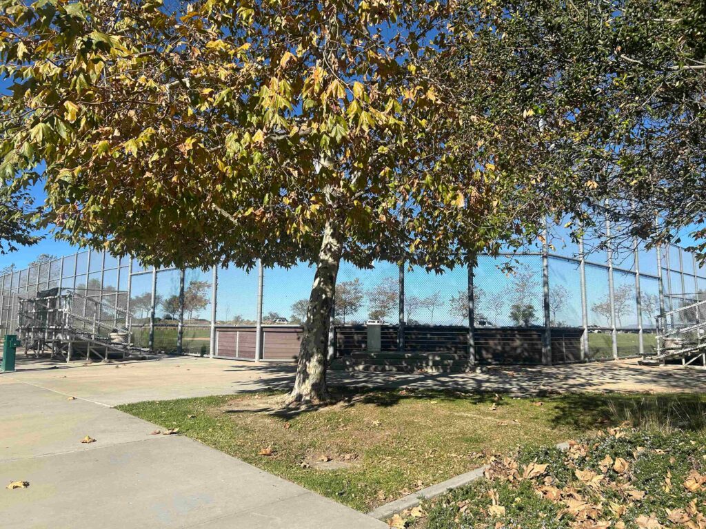 IMG 3172 11zon 1024x768