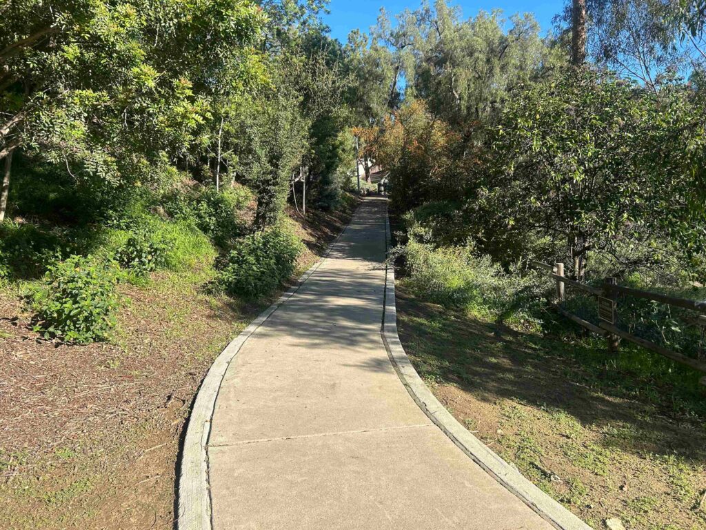 IMG 3347 11zon 1024x768