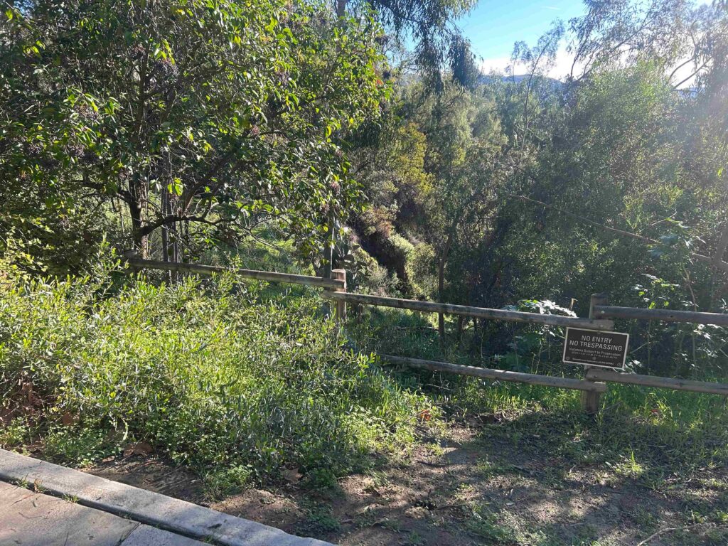 IMG 3356 11zon 1024x768