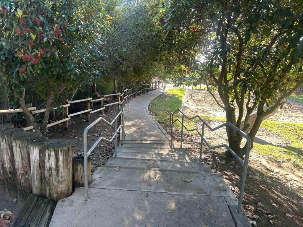 IMG 3360 11zon 1024x768