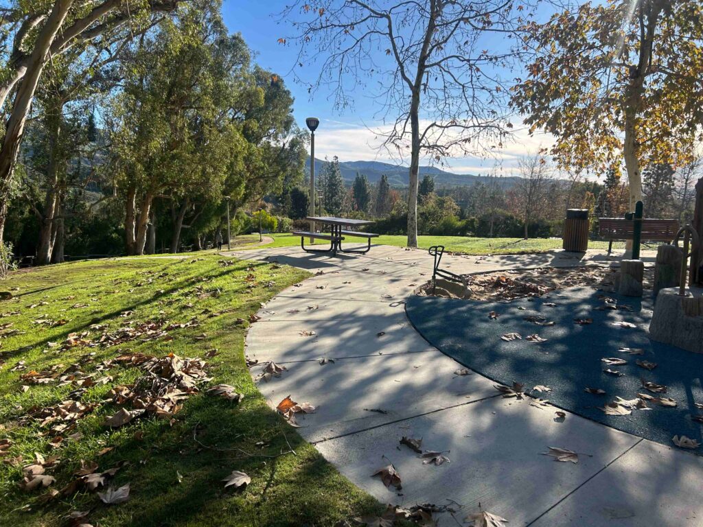 IMG 3363 11zon 1024x768