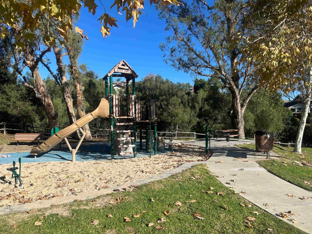 IMG 3367 11zon 1024x768