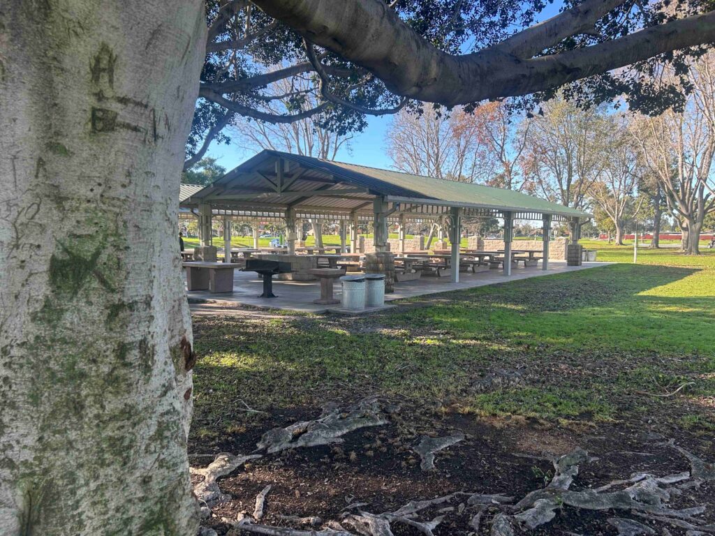 IMG 3392 11zon 1024x768