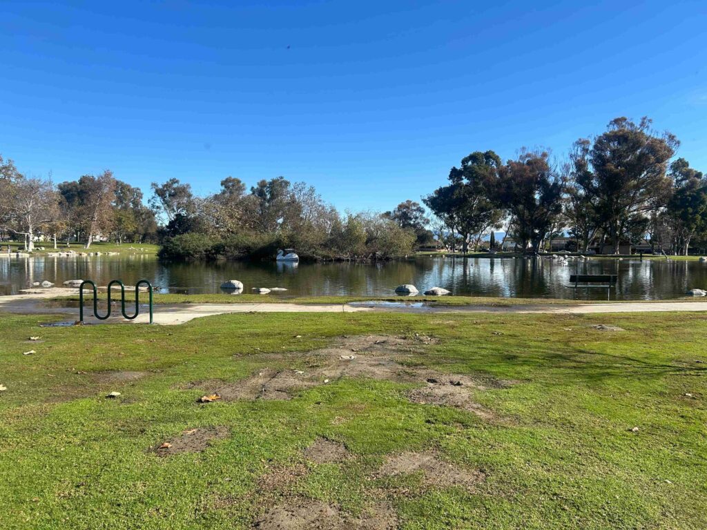 IMG 3414 11zon 1024x768