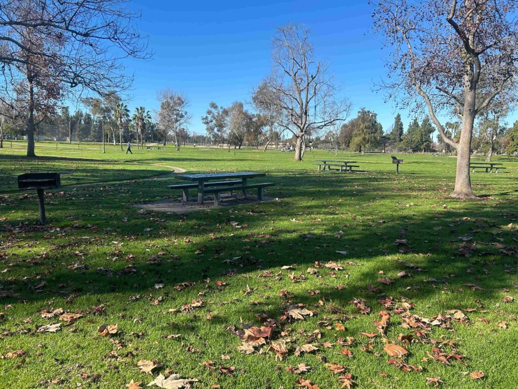 IMG 3426 11zon 1024x768