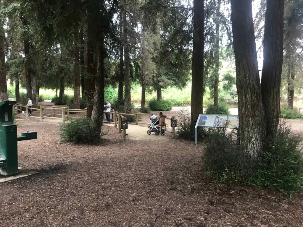 IMG 6957 11zon 1024x768